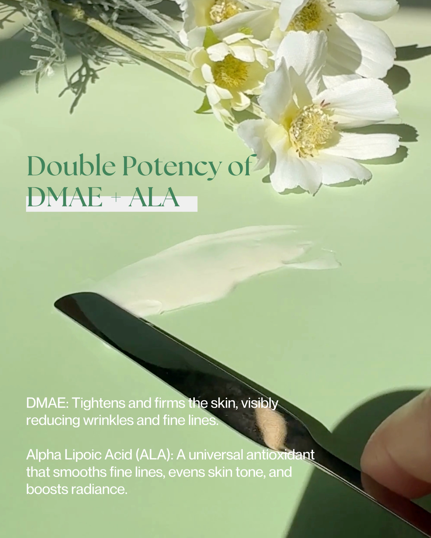 Concentrated Antioxidant Serum